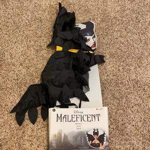 Maleficent costume